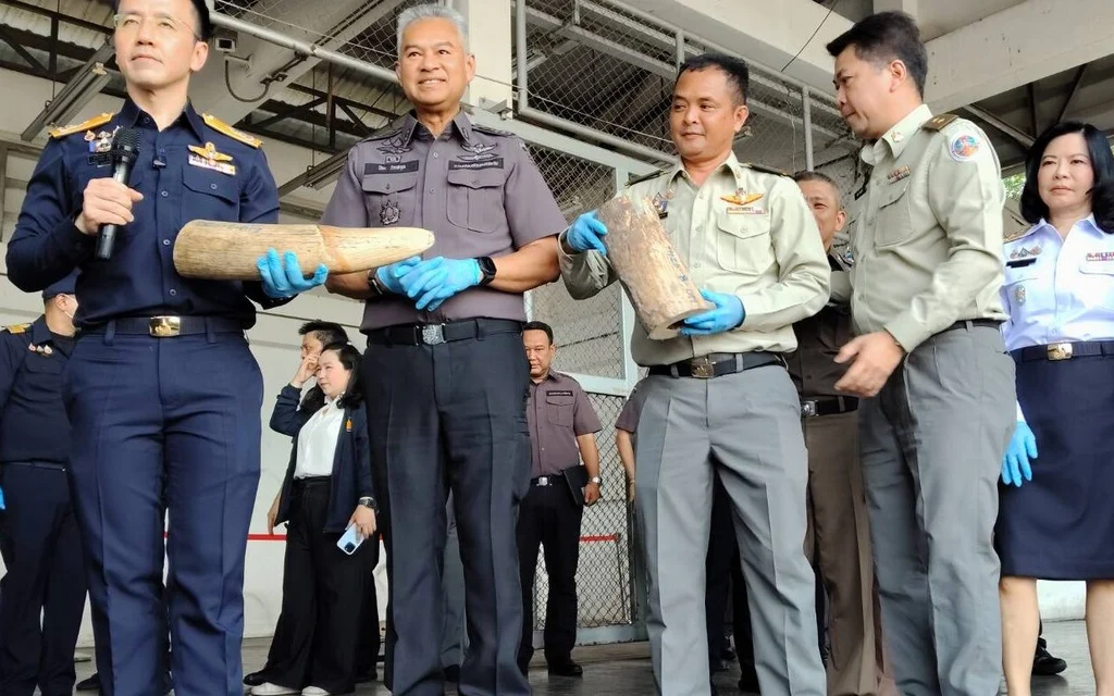 Officials display seized ivory during a customs press event.