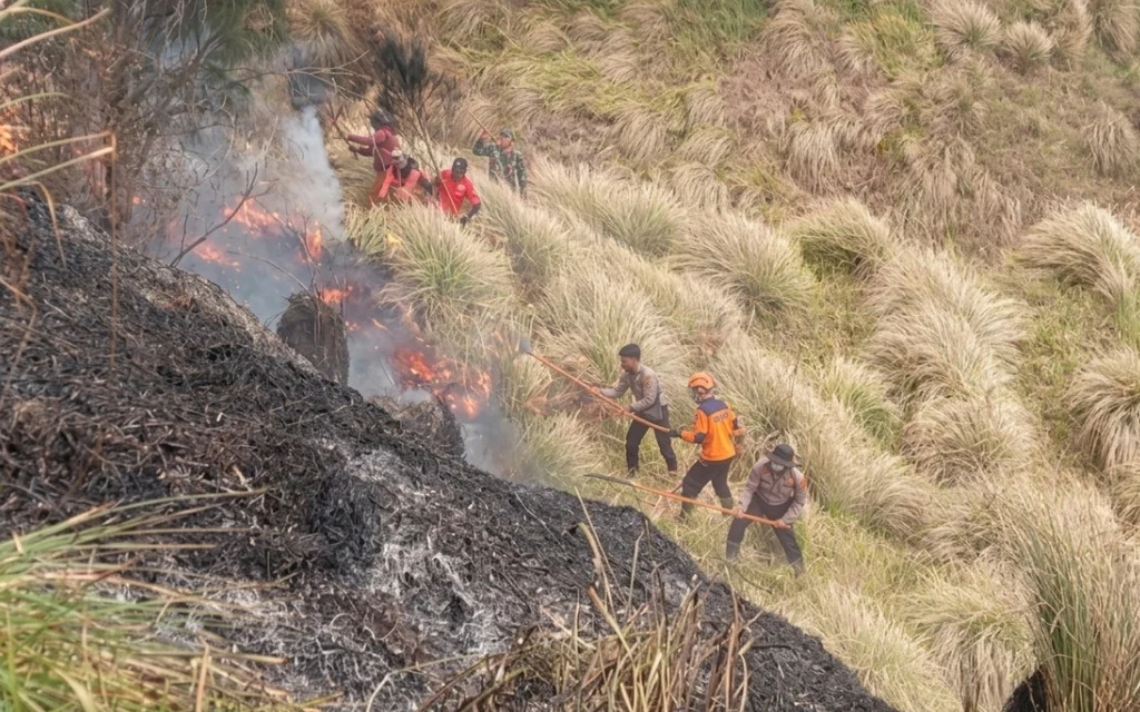 People fighting a wildfire on a grassy hillside.