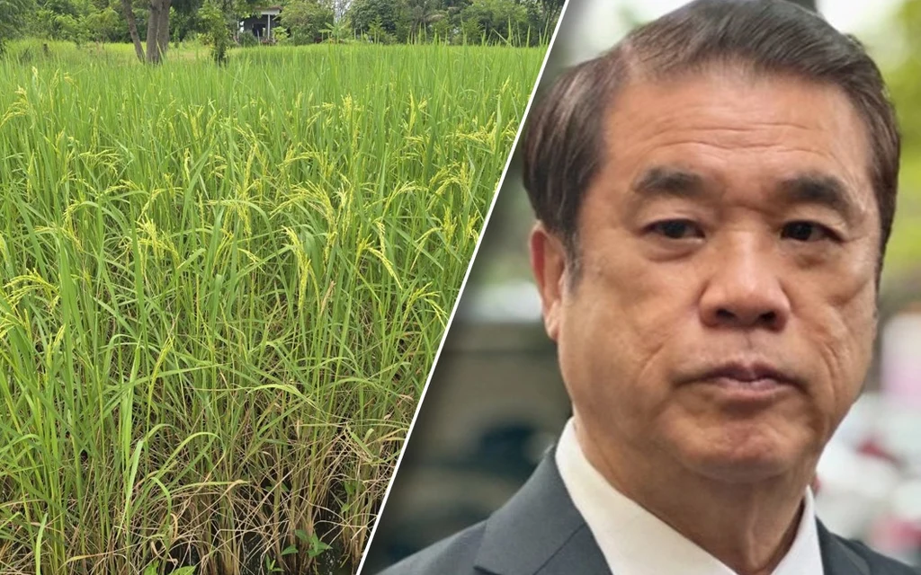 A split image showing a rice field and a man in suit.