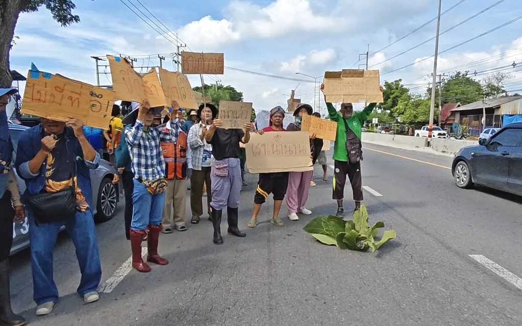 Residents protesting on a road holding cardboard signs.
