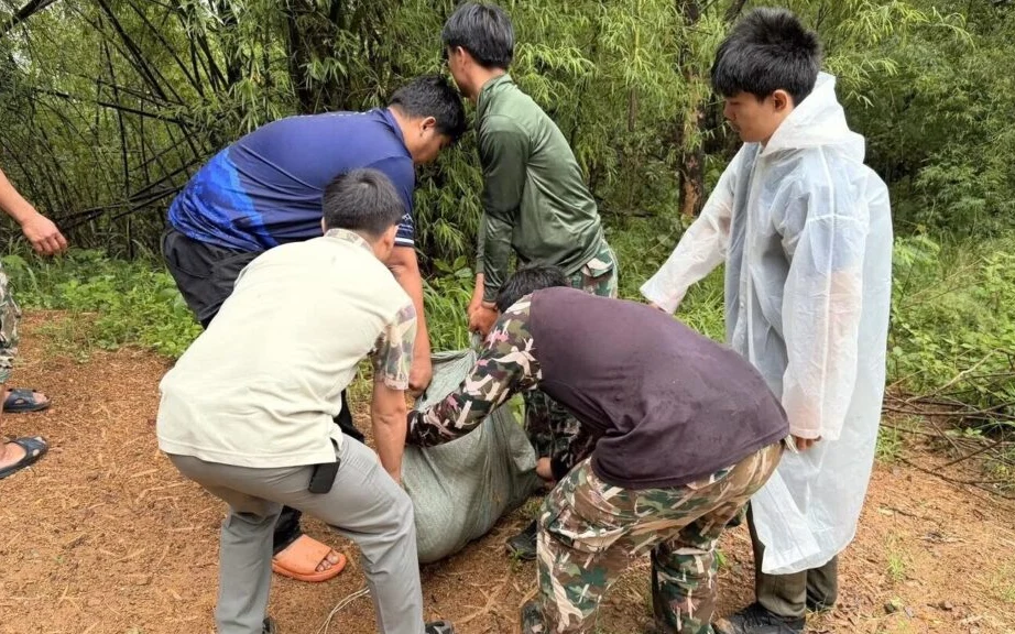 Park officials relocating a python in a sack in the forest.
