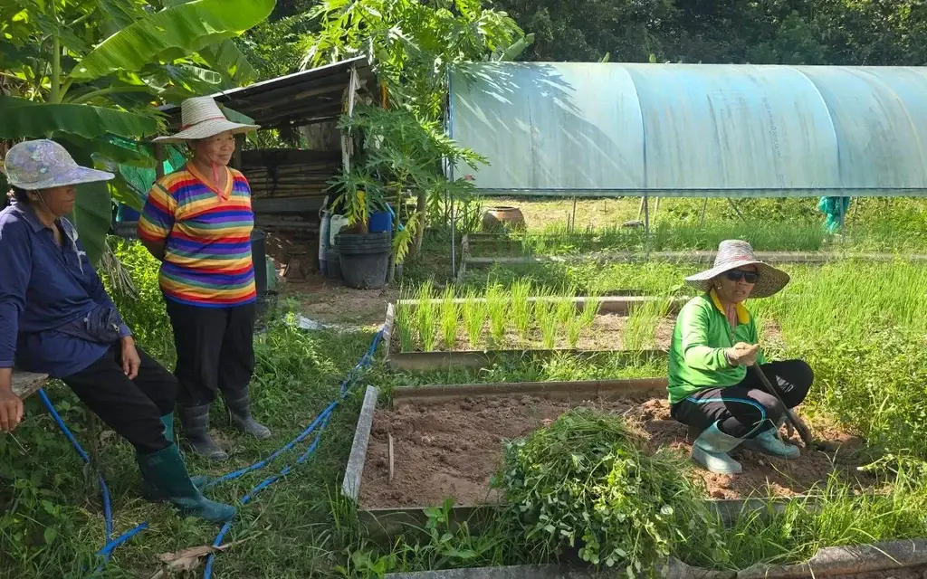 Three women tending vegetable garden beds in a rural greenhouse setting