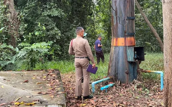Officials inspect a damaged electrical installation in a wooded area.