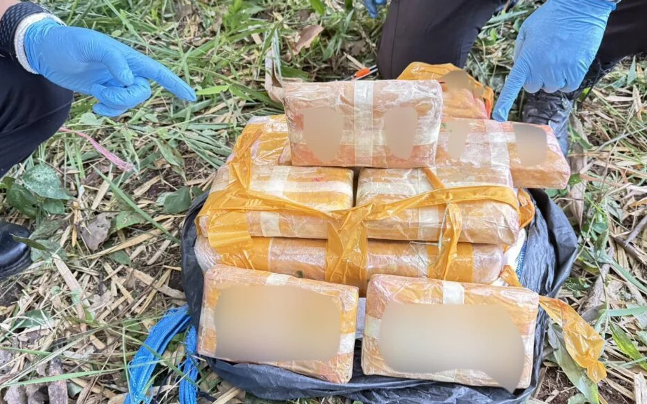 Gloved officers examine packages seized in a grassy field.