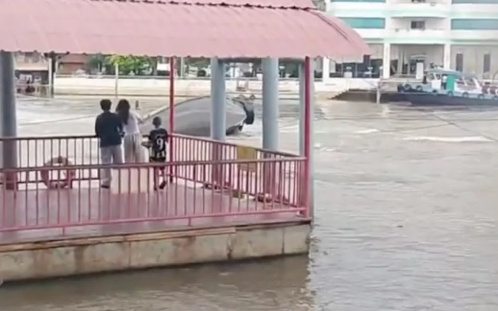 People shelter beneath a riverside pavilion as floodwater surrounds it.