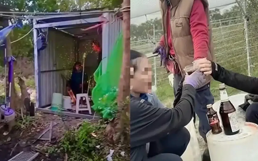 A split image showing a small shed and people drinking
