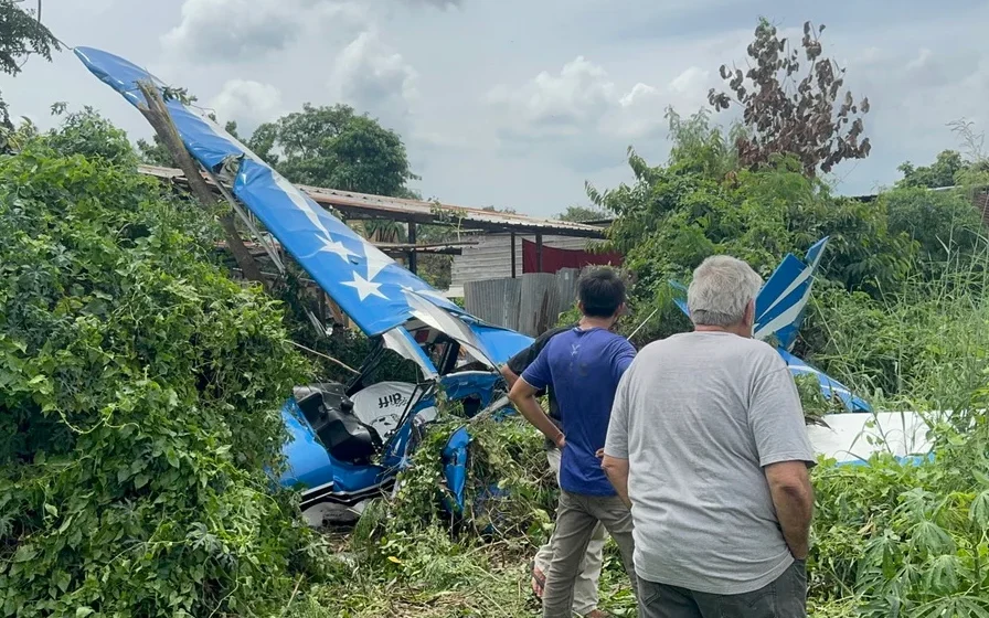 A small blue aircraft crashed into vegetation with people standing nearby.