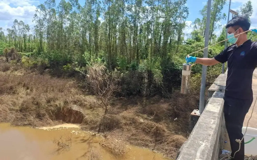 Fish floating dead in netted aquaculture ponds.