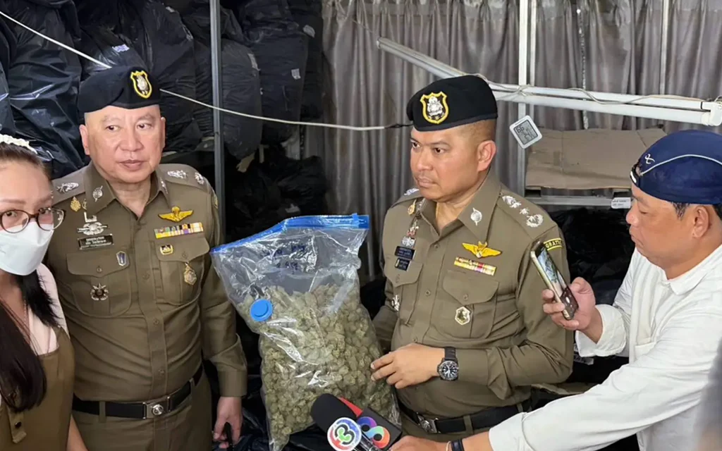Police officers display seized cannabis during a raid, with a reporter nearby.