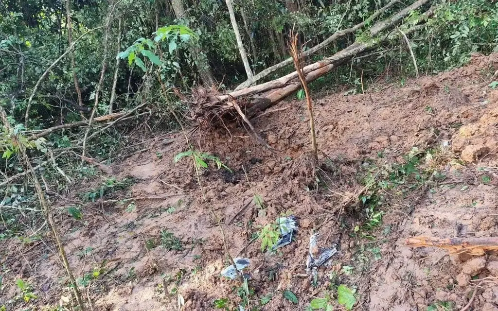 A muddy forest hillside with uprooted trees and scattered debris.